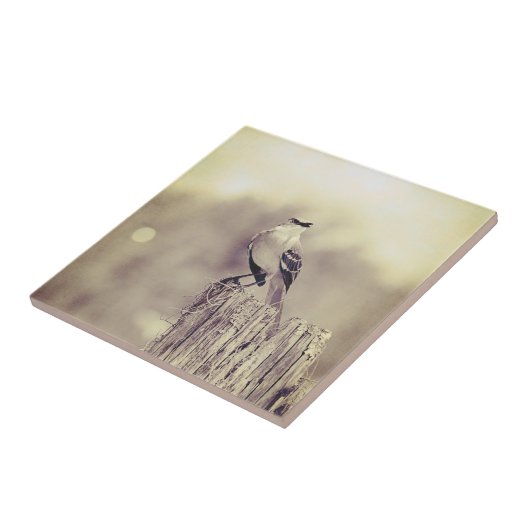 世界へ歌うこと! タイル (側面)