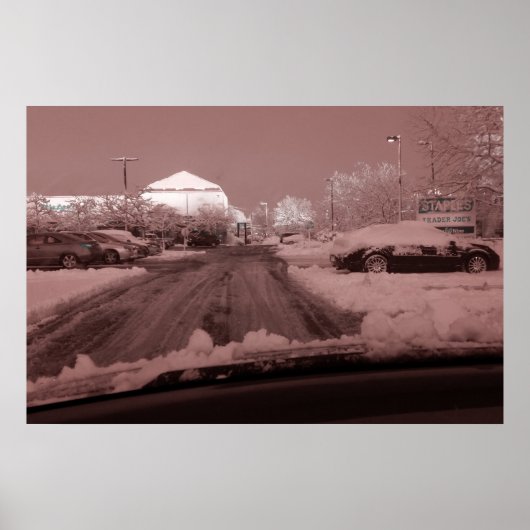 世界をバラ色の眼鏡で見る ポスター (正面)