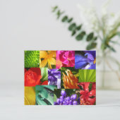 世界を彩る ポストカード (スタンド正面)