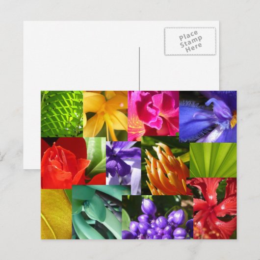 世界を彩る ポストカード (正面/裏面)