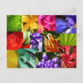 世界を彩る ポストカード (正面)