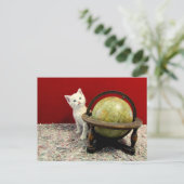 世界を舞台にしたタフィー・マクダフ – 猫/子猫 ポストカード (スタンド正面)