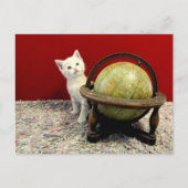 世界を舞台にしたタフィー・マクダフ – 猫/子猫 ポストカード (正面)