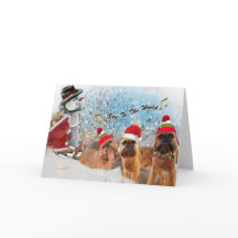 世界カードへのブリュッセルGriffonの喜び