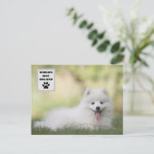 世界パーソナライズされたのドッグ最高のパパカスタム写真 シーズンポストカード (スタンド正面)