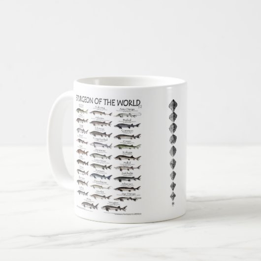 世界マグカップのチョウザメ コーヒーマグカップ (正面左)