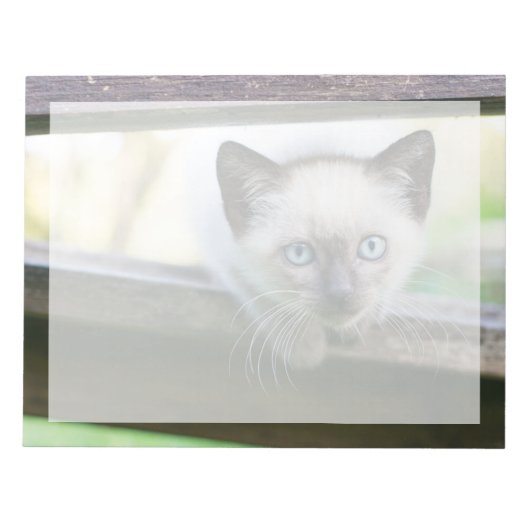 世界一かわいい赤ちゃん動物たち | シャム+子猫 2 ノートパッド (正面)
