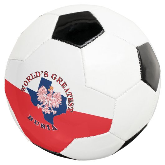 世界一のブシア サッカーボール (3/4)