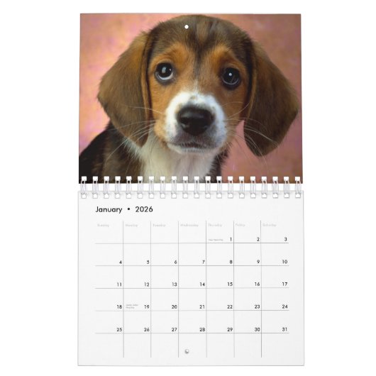 世界一の美しい子犬 カレンダー (1月 2026)