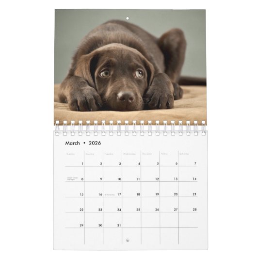 世界一の美しい子犬 カレンダー (3月 2026)
