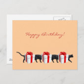 世界一長い猫 ポストカード (正面/裏面)