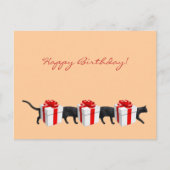 世界一長い猫 ポストカード (正面)