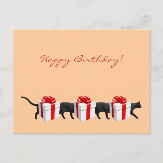 世界一長い猫 ポストカード (正面)