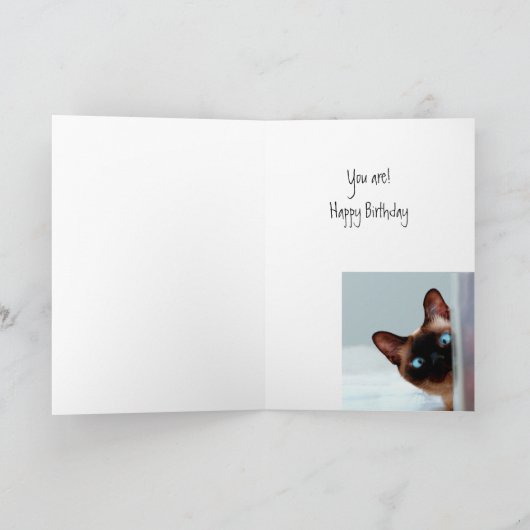 世界一面白い75歳の猫の子（または、世界で最も面白い75歳の猫の赤ちゃん） カード (内部)