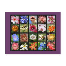 世界中のエキゾチックな花