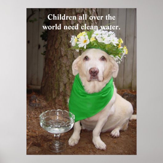 世界中の子供たちは清潔な水を必要としている。 ポスター (正面)