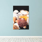 世界中の貝殻の詳細 キャンバスプリント (インサイチュ (ウッドフロア))