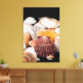 世界中の貝殻の詳細 キャンバスプリント (インサイチュ (リビング))