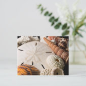 世界中の貝殻の詳細 ポストカード (スタンド正面)