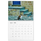 世界中のRSD | バルカン人の猫 カレンダー (3月 2026)