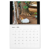 世界中のRSD |モロッコの猫 カレンダー (3月 2026)