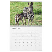 世界中のRSD | South Africa Safari Animals カレンダー (1月 2026)