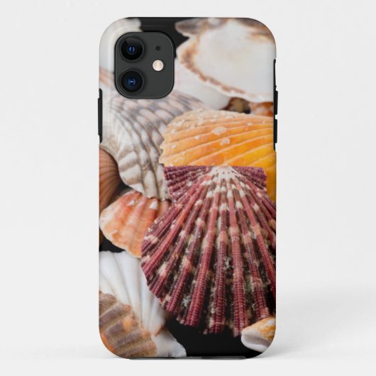 世界各地の貝殻の詳細 2 Case-Mate iPhoneケース (裏面)