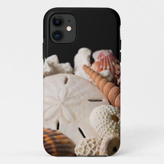 世界各地の貝殻の詳細 Case-Mate iPhoneケース (裏面)