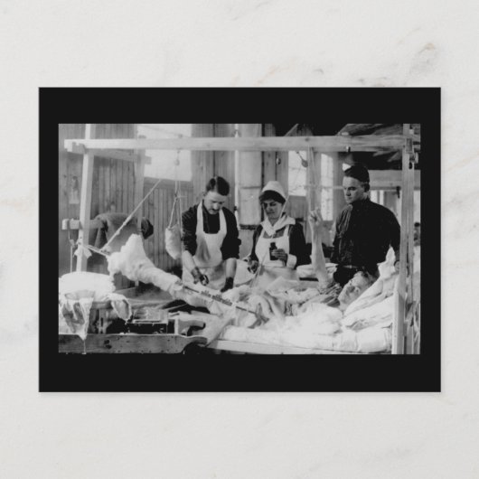 世界大戦ワンナース野戦病院 ポストカード (正面)