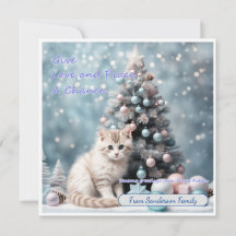 世界平和カード。愛与えと平和のチャンス