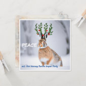 世界平和:ホリークラウンハレ平和愛 カード (正面/裏面インサイチュ)