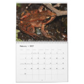 世界暦のカエル カレンダー (2月 2027)