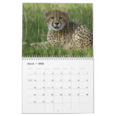 世界暦大きな猫 カレンダー (3月 2026)