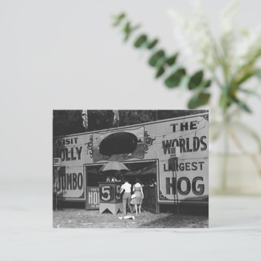 世界最大すてきのホッグヴィンテージカーニバル写真 シーズンポストカード (スタンド正面)