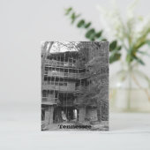 世界最大のツリーハウス ポストカード (スタンド正面)