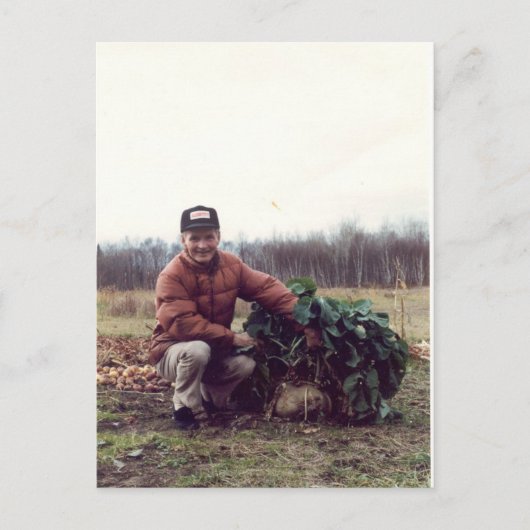 世界最大のルタバガ！ ポストカード (正面)