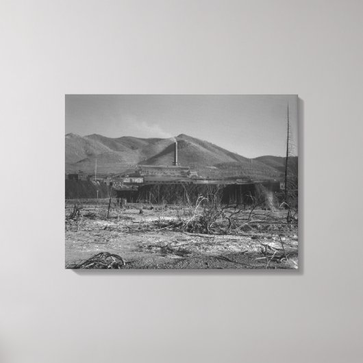 世界最大の鉛鉱山 – ケロッグ キャンバスプリント (正面)