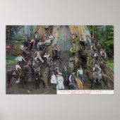 世界最大級の木ボオールの見解 ポスター (正面)