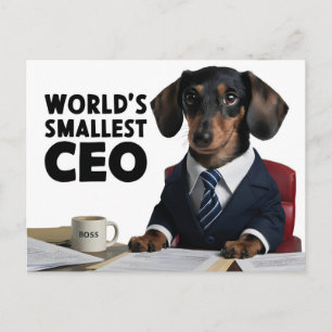 世界最小のCEO、可愛いおもしろいdachshungスーツ ポストカード