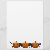 世界最長の猫 (正面)