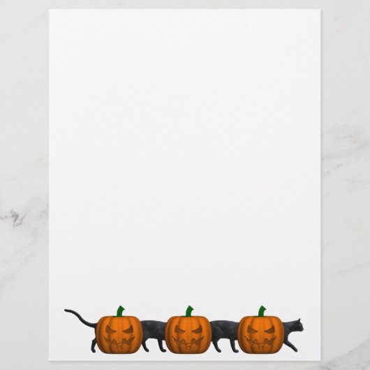 世界最長の猫 (正面)