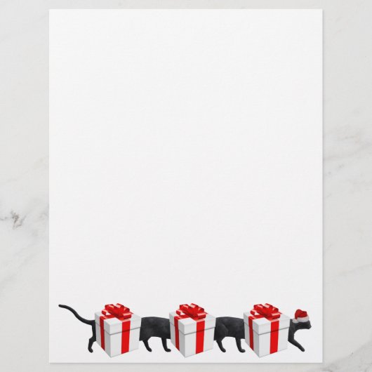 世界最長の猫 (正面)