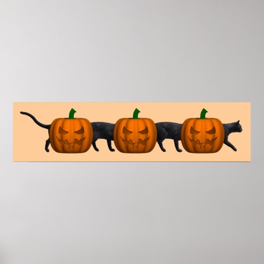 世界最長の猫 ポスター (正面)