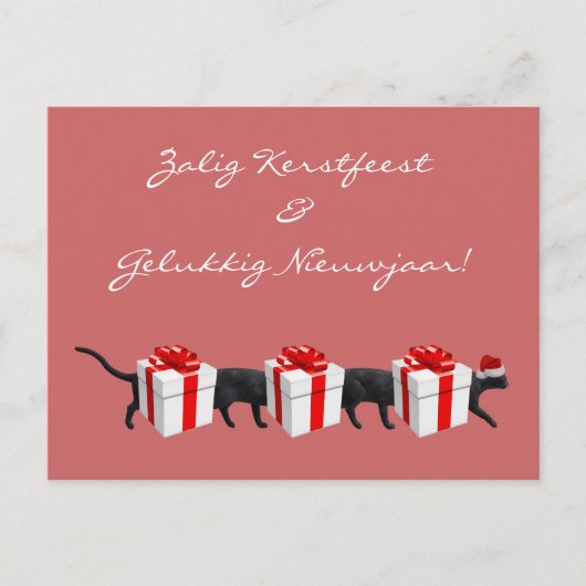 世界最長の猫 ポストカード (正面)