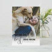 世界最高のドッグママ シーズンカード (スタンド正面)