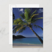 世界最高のビーチの一つ; セントジョン島のトランクベイ ポストカード (正面/裏面)