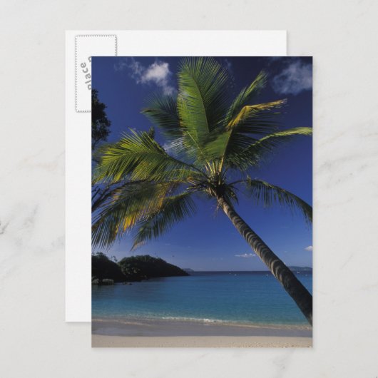 世界最高のビーチの一つ; セントジョン島のトランクベイ ポストカード (正面/裏面)