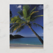 世界最高のビーチの一つ; セントジョン島のトランクベイ ポストカード (正面)