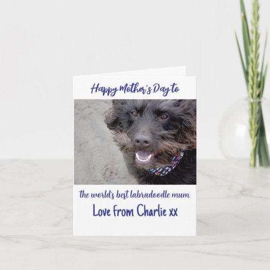 世界最高のラブドゥードルママの母の日カード シーズンカード (正面)