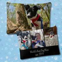 世界最高の犬の母が可愛い写真